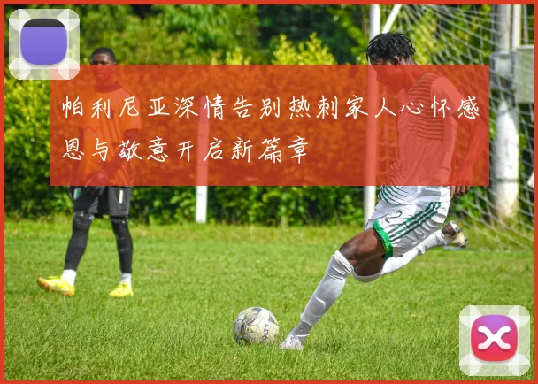 帕利尼亚深情告别热刺家人心怀感恩与敬意开启新篇章